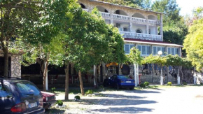 Отель Guesthouse Mala Venecija  Вирпазаре
